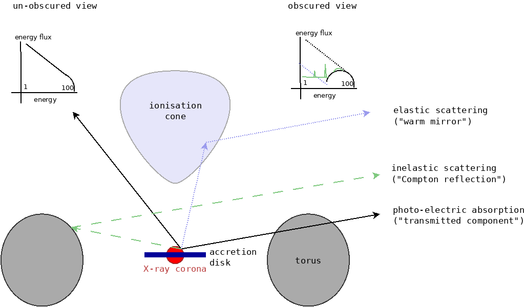 Illustration of important components of an AGN and its X-ray spectra from unobscured and obscured viewing angles.